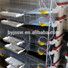 New Products For Nigeria Market - Metal Quail Breeding Cage